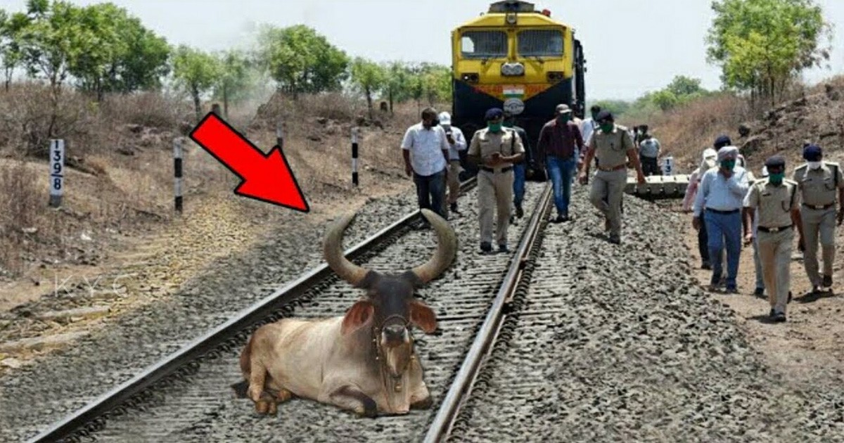 ರೈಲು ಅಪಘಾತದಿಂದ ಸಾವಿರಾರು ಜನರನ್ನು ಕಾಪಾಡಿದ ಮಹಾ ಶಿವನಂದಿ ಮುಂದೆ ಏನಾಯಿತು ತಿಳಿದರೆ ಶಾಕ್ ಆಗುತ್ತೀರಾ..