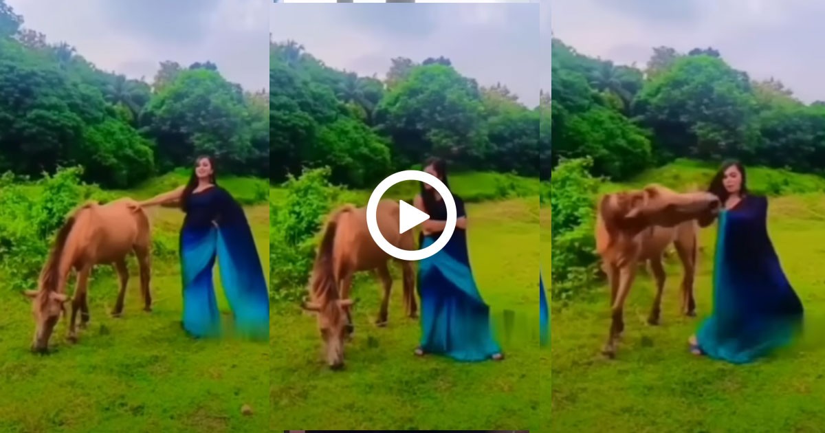 ರೀಲ್ಸ್ ಮಾಡಲು ಹೋಗಿ ಕುದುರೆ ಕೈಲಿ ಒದೆಸಿ ಕೊಂಡ ಯುವತಿ ; ಇದೆಲ್ಲ ಬೇಕಾಗಿತ್ತಾ ಎಂದ ನೆಟ್ಟಿಗರು