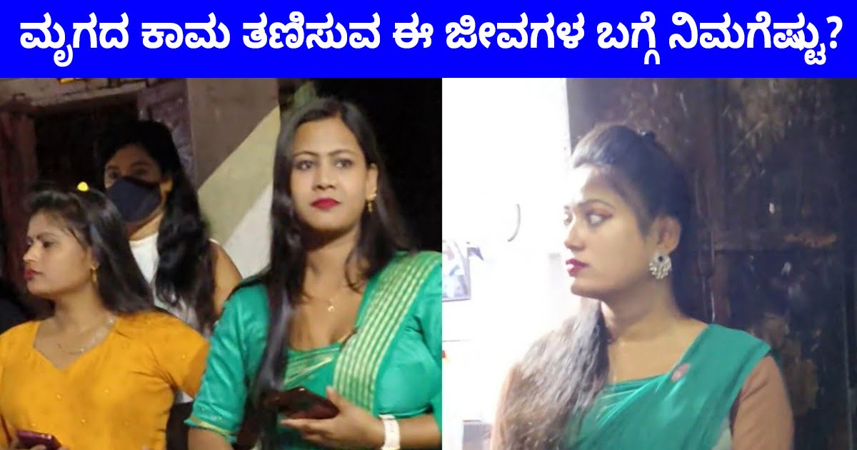 ಮೃಗದ ಕಾಮ ತಣಿಸುವ ಈ ಜೀವಗಳ ಬಗ್ಗೆ ನಿಮಗೆಷ್ಟು ಗೊತ್ತು..? ಇಲ್ಲಿದೆ ವೈರಲ್ ವಿಡಿಯೋ...!!