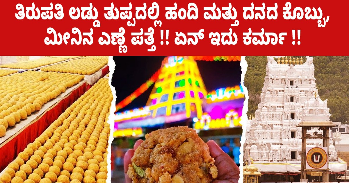 ತಿರುಪತಿ ಲಡ್ಡು ತುಪ್ಪದಲ್ಲಿ ಹಂದಿ ಮತ್ತು ದನದ ಕೊಬ್ಬು, ಮೀನಿನ ಎಣ್ಣೆ ಪತ್ತೆ !! ಏನ್ ಇದು ಕರ್ಮಾ !! ತಿರುಪತಿ ಲಡ್ಡು ತುಪ್ಪದಲ್ಲಿ ಹಂದಿ ಮತ್ತು ದನದ ಕೊಬ್ಬು, ಮೀನಿನ ಎಣ್ಣೆ ಪತ್ತೆ !! ಏನ್ ಇದು ಕರ್ಮಾ !!
