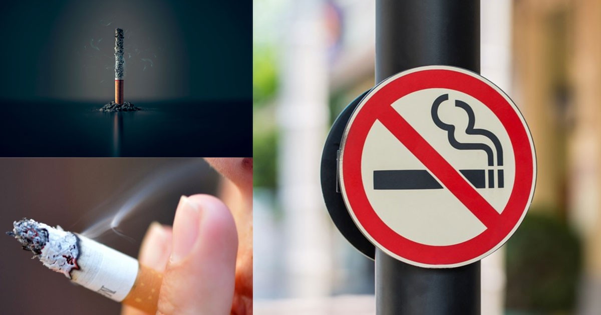 Survey Reveals Over 92% of Indians Favor Smoke-Free Public Places for Health Protection Survey Reveals Over 92% of Indians Favor Smoke-Free Public Places for Health Protection