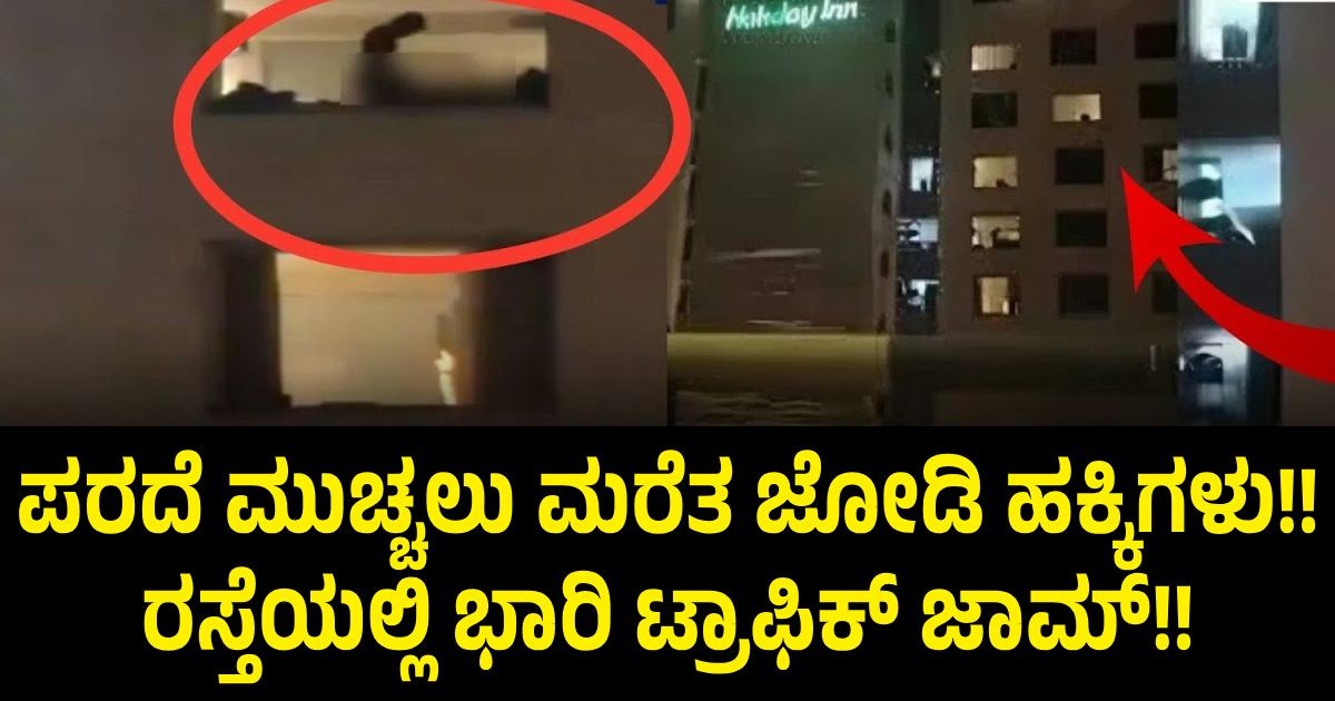 ಪರದೆ ಮುಚ್ಚಲು ಮರೆತ ಜೋಡಿ ಹಕ್ಕಿಗಳು!! ರಸ್ತೆಯಲ್ಲಿ ಭಾರಿ ಟ್ರಾಫಿಕ್ ಜಾಮ್!! ಮುಂದೆ ಏನಾಯ್ತು ಶಾಕ್ ನೀವೇ ನೋಡಿ!! ಪರದೆ ಮುಚ್ಚಲು ಮರೆತ ಜೋಡಿ ಹಕ್ಕಿಗಳು!! ರಸ್ತೆಯಲ್ಲಿ ಭಾರಿ ಟ್ರಾಫಿಕ್ ಜಾಮ್!! ಮುಂದೆ ಏನಾಯ್ತು ಶಾಕ್ ನೀವೇ ನೋಡಿ!!