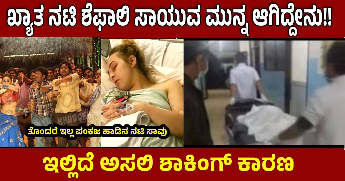 ಖ್ಯಾತ ನಟಿ ಶೆಫಾಲಿ ಸಾಯುವ ಮುನ್ನ ಆಗಿದ್ದೇನು!! ಇಲ್ಲಿದೆ ಅಸಲಿ ಶಾಕಿಂಗ್ ಕಾರಣ !! ಖ್ಯಾತ ನಟಿ ಶೆಫಾಲಿ ಸಾಯುವ ಮುನ್ನ ಆಗಿದ್ದೇನು!! ಇಲ್ಲಿದೆ ಅಸಲಿ ಶಾಕಿಂಗ್ ಕಾರಣ !!