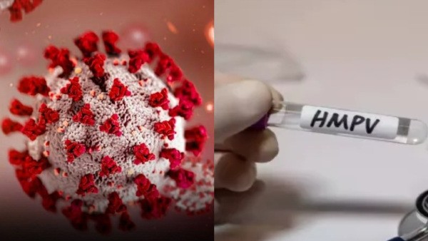 New Virus Scare in China: HMPV and Chikungunya Surge Raises Global Health Concerns