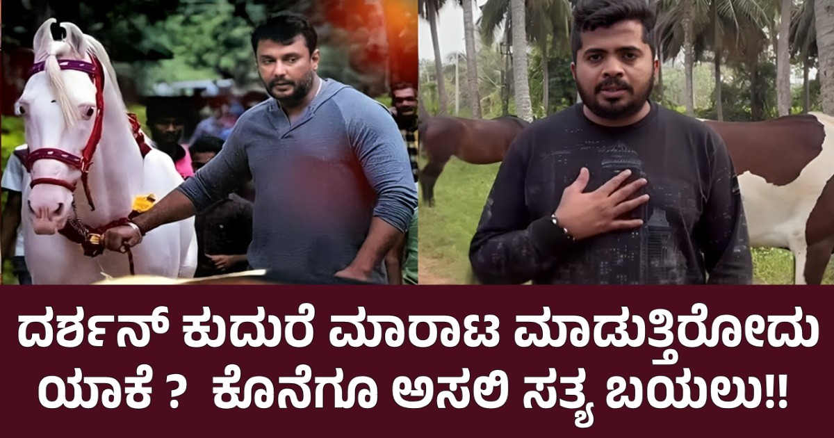 ದರ್ಶನ್ ಕುದುರೆ ಮಾರಾಟ ಮಾಡುತ್ತಿರೋದು ಯಾಕೆ ?  ಕೊನೆಗೂ ಅಸಲಿ ಸತ್ಯ ಬಯಲು