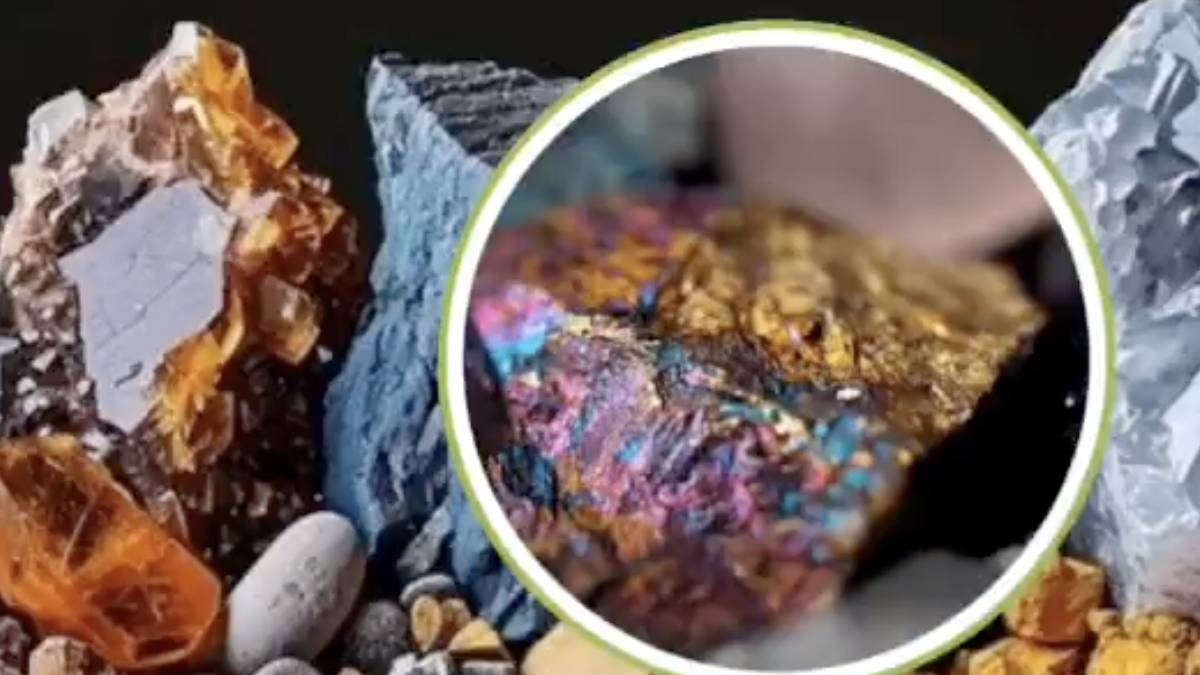 ಕರ್ನಾಟಕದಲ್ಲಿ 63.5 ಲಕ್ಷ ಟನ್ ಅಪರೂಪದ ಖನಿಜ ಸಂಗ್ರಹ ಪತ್ತೆ