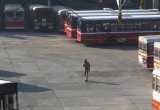 Mumbai BEST Bus Strike 2026: Services Halted Over Pay Demands