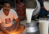 Maharashtra Synthetic Milk Scam: Man Allegedly Sold 2.3 Crore Litres of Adulterated Milk Using Detergent