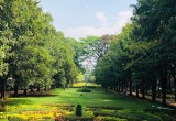 Karnataka Cabinet Approves Up to 5% Park Land Diversion for Infrastructure Projects Amid Backlash