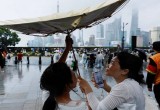 Pacific Typhoon Naming Process Explained: From Banyan to Dim Sum and Dolphin