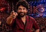 Bigg Boss Telugu 10 Confirmed Contestants List 2026: Nagarjuna Returns as Host