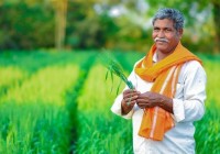 Maharashtra Cabinet Approves ₹36,585 Crore Farm Loan Waiver, 5.6 Million Farmers to Benefit
