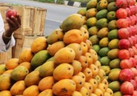Nepal Bans Indian Mangoes Over Chemical Pesticide Residues, Joins Growing Global Rejection List