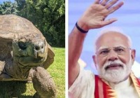 PM Modi to Meet Jonathan, the World’s Oldest Animal in Seychelles