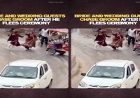 Groom Flees Wedding Mandap After Mysterious Phone Call in Kaithal, Haryana, Leaves Guests Shocked