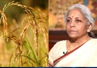 Fertiliser Stocks Jump Up To 10%: FACT, Paradeep Phosphates, NFL Gain — Here's Why