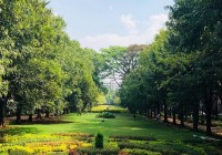 Karnataka Cabinet Approves Up to 5% Park Land Diversion for Infrastructure Projects Amid Backlash