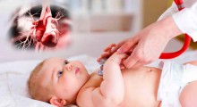 41,000 Children in Karnataka Diagnosed with Congenital Heart Disease, Survey Reveals