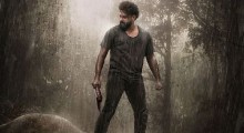 Kattalan Box Office Day 8 – Huge Drop and Losses