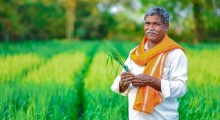 Maharashtra Cabinet Approves ₹36,585 Crore Farm Loan Waiver, 5.6 Million Farmers to Benefit