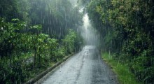 Monsoon Enters Bangalore on June 8: Heavy Rain Forecast for 7 Days