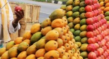 Nepal Bans Indian Mangoes Over Chemical Pesticide Residues, Joins Growing Global Rejection List