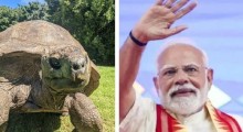 PM Modi to Meet Jonathan, the World’s Oldest Animal in Seychelles