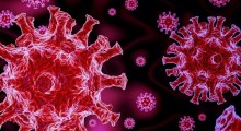 Is COVID-19 Back in India in 2026? Latest Cases, Symptoms, and What Health Experts Say