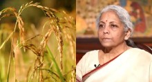 Fertiliser Stocks Jump Up To 10%: FACT, Paradeep Phosphates, NFL Gain — Here's Why