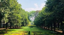 Karnataka Cabinet Approves Up to 5% Park Land Diversion for Infrastructure Projects Amid Backlash