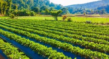 Managed Farmland: A Modern Way to Own Agricultural Land and Enjoy Nature
