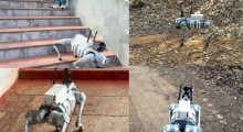 TTD to Deploy AI Robotic Dog to Prevent Human-Animal Conflicts on Tirumala Hills