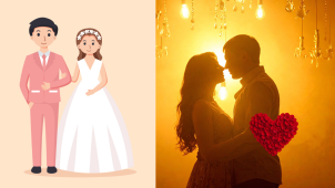 Wife vs Girlfriend Analogy – TV and Mobile Comparison