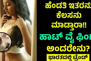 ಹೆಂಡತಿ ಇತರನು  ಕೆಲಸನು ಮಾಡ್ತಾರಾ!! ಹಾಟ್ ವೈ ಫಿಂಗ್ ಅಂದರೇನು?
