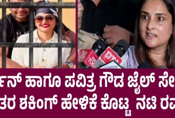 ದರ್ಶನ್ ಹಾಗೂ ಪವಿತ್ರ ಗೌಡ ಜೈಲ್ ಸೇರಿದ ನಂತರ  ಶಾಕಿಂಗ್ ಹೇಳಿಕೆ ನೀಡಿದ ನಟಿ ರಮ್ಯಾ !!