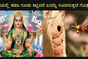 ಮನೆಯಲ್ಲಿ ಕಡಜ ಗೂಡು ಕಟ್ಟಿದರೆ ಏನನ್ನು ಸೂಚಿಸುತ್ತದೆ ಗೋತ್ತೇ..??