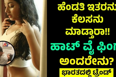 ಹೆಂಡತಿ ಇತರನು  ಕೆಲಸನು ಮಾಡ್ತಾರಾ!! ಹಾಟ್ ವೈ ಫಿಂಗ್ ಅಂದರೇನು?