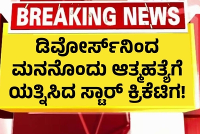 ಡಿವೋರ್ಸ್‌ನಿಂದ ಮನನೊಂದು ಆತ್ಮಹತ್ಯೆಗೆ ಯತ್ನಿಸಿದ ಸ್ಟಾರ್‌ ಕ್ರಿಕೆಟಿಗ!