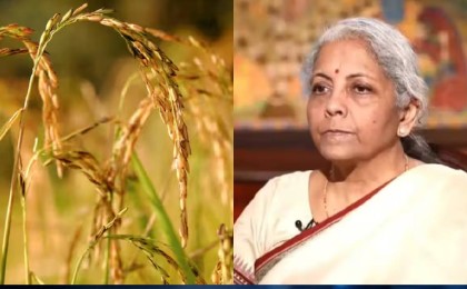 Fertiliser Stocks Jump Up To 10%: FACT, Paradeep Phosphates, NFL Gain — Here's Why