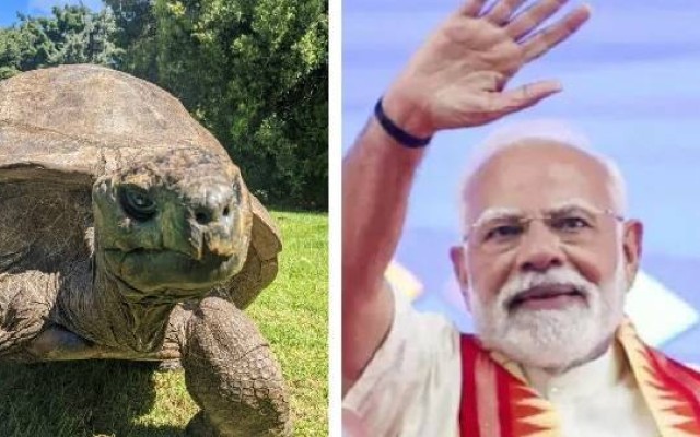 PM Modi to Meet Jonathan, the World’s Oldest Animal in Seychelles