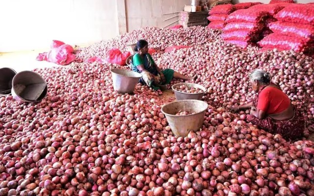 Onion Prices Rise in India August 2026: Check Delhi, Mumbai, Chennai, Bengaluru & Hyderabad Rates