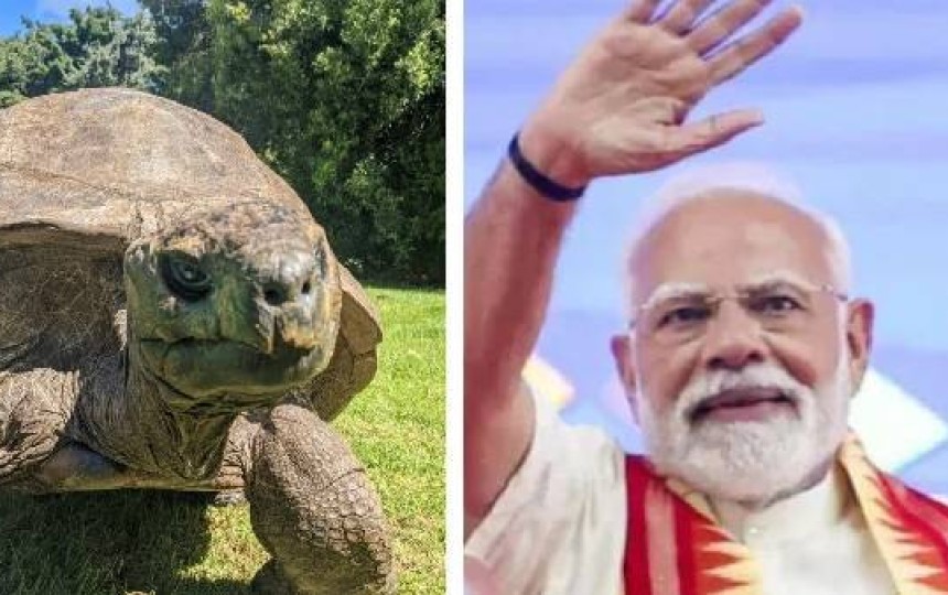 PM Modi to Meet Jonathan, the World’s Oldest Animal in Seychelles