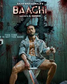 Baaghi 4