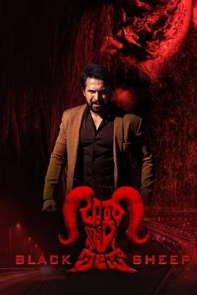 Black Sheep