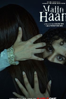 Maiin Haan