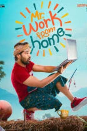 Mr. Work From Home