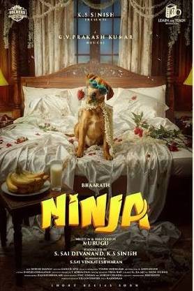 Ninja